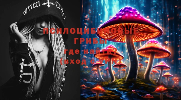 ECSTASY Алзамай