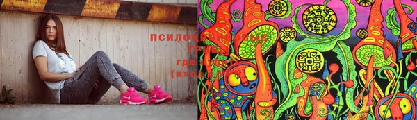 ECSTASY Алзамай