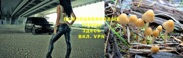 каннабис Алексеевка