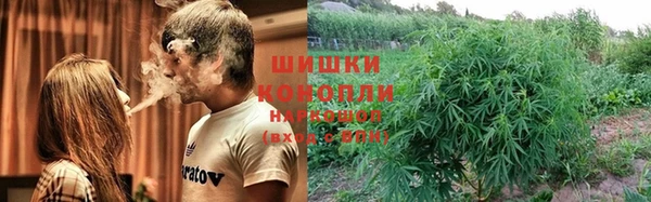 каннабис Алексеевка