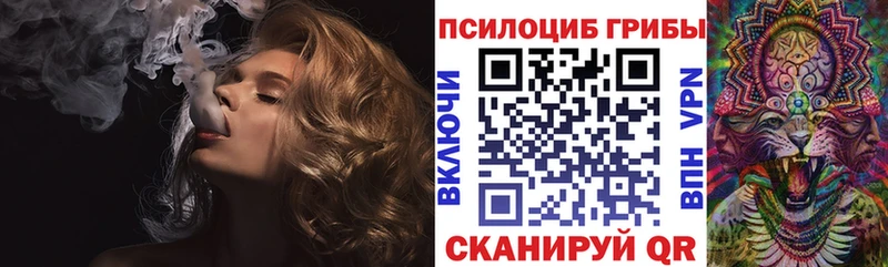 купить закладку  Владивосток  Галлюциногенные грибы Psilocybine cubensis 